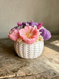 Violette